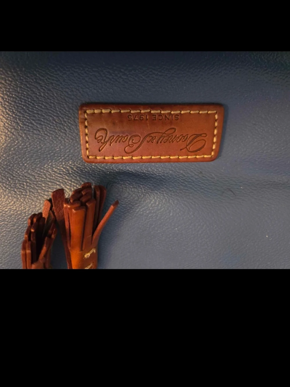 Dooney & Bourke Blue Tote with Brown Trim and Tassel